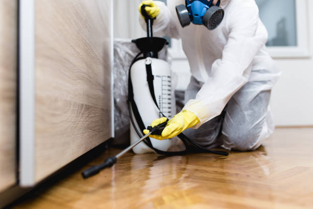 Wildlife Control Services in Rockville Centre, NY