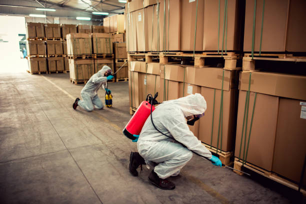 Best Exterminator Services  in Rockville Centre, NY