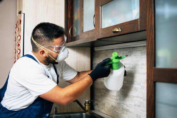 Best Pest Inspection Near Me  in Rockville Centre, NY