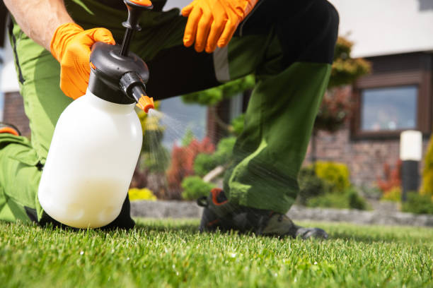 Best Best Pest Control Companies  in Rockville Centre, NY