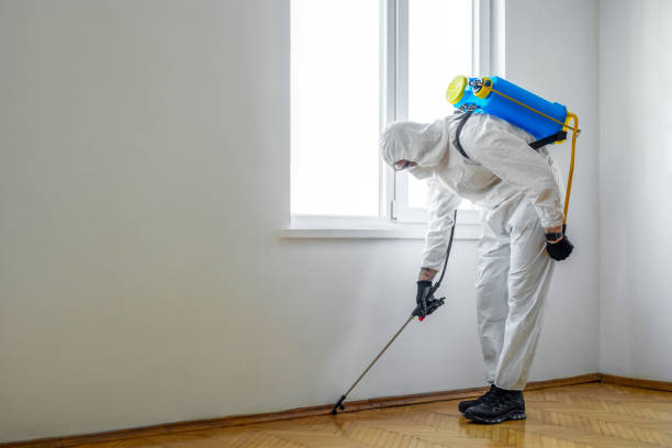 Professional Pest Control in Rockville Centre, NY