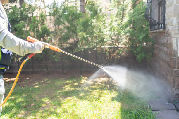 Best Termite Control Services  in Rockville Centre, NY