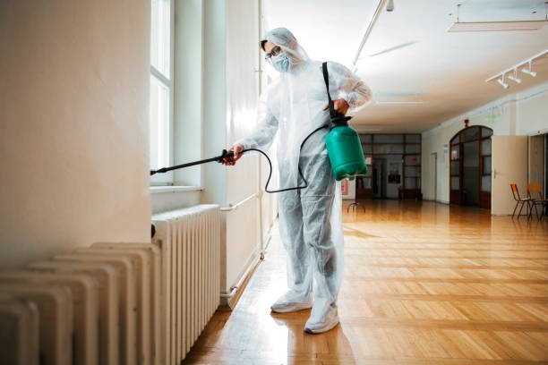 Best Flea Control Services  in Rockville Centre, NY
