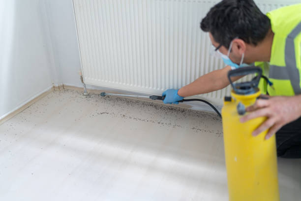 Best Cockroach Control Services  in Rockville Centre, NY