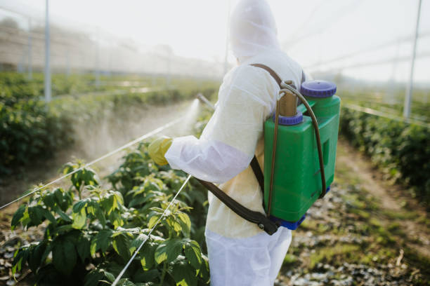 Best Residential Pest Control  in Rockville Centre, NY